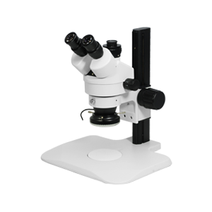 Stereo Microscope
